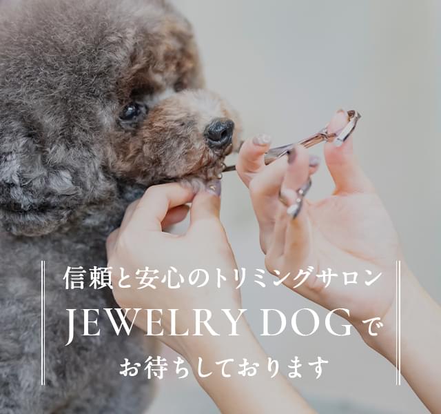 JEWELRY DOG