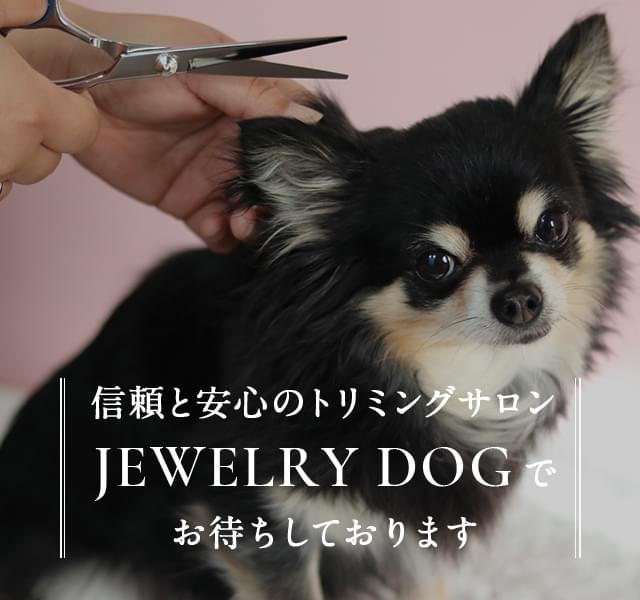 JEWELRY DOG