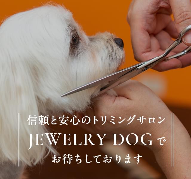 JEWELRY DOG